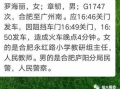 教师吃瓜爆料文案短句怎么写