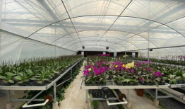 吃瓜群爆料大棚是真的吗,大棚真相揭秘，究竟是真的吗？